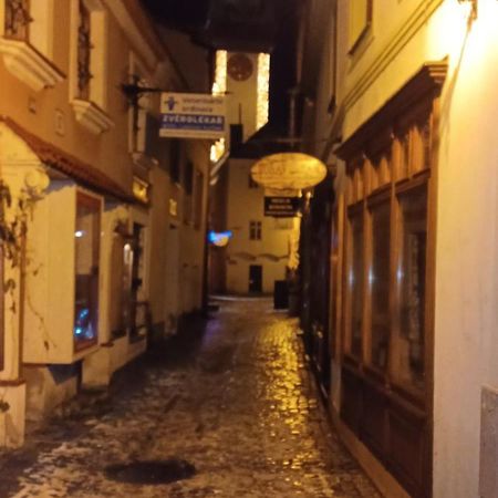 Apartman Pod Hradem Znojmo Bagian luar foto